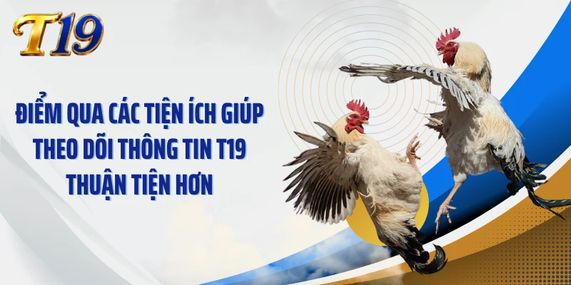 Điểm qua các tiện ích giúp theo dõi thông tin T19 thuận tiện hơn