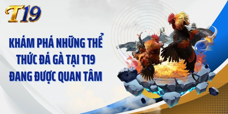 Khám phá những thể thức đá gà tại T19 đang được quan tâm